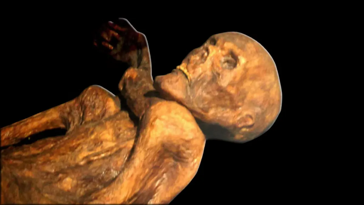 別人死後留名，他是死後留皮